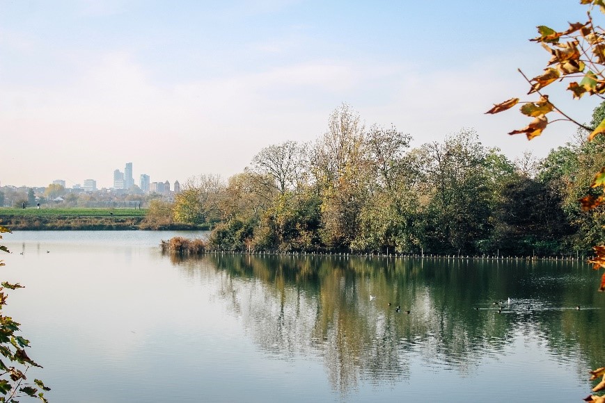 Walthamstow Wetlands